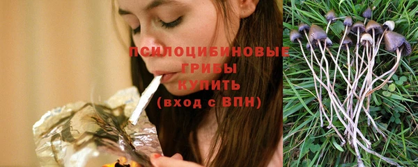 а пвп мука Навашино