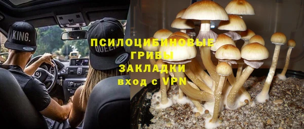 ECSTASY Михайлов