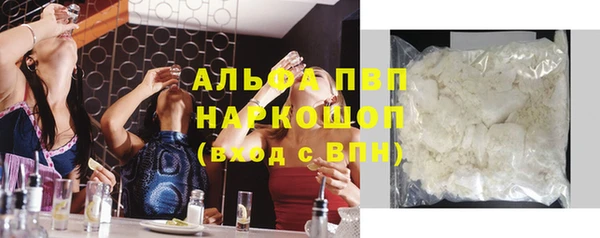ECSTASY Михайлов