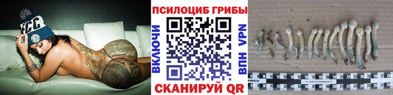 наркотики  hydra как войти  Галлюциногенные грибы ЛСД  Новоалтайск 