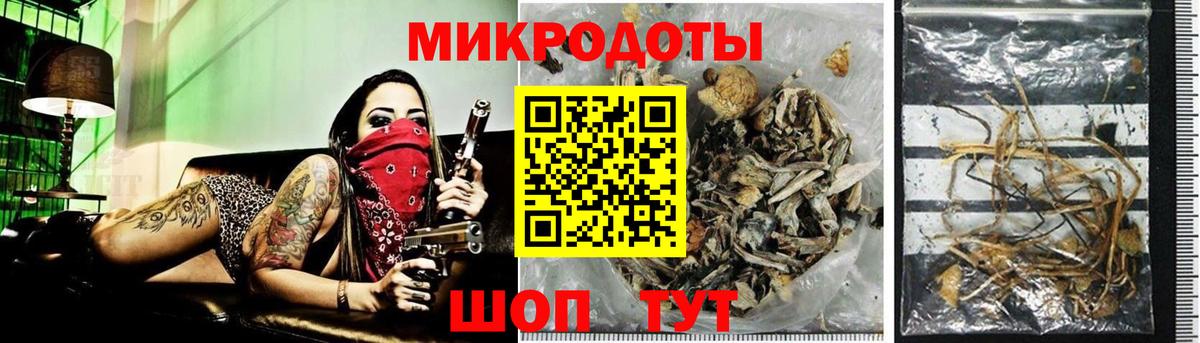 Галлюциногенные грибы мухоморы  купить  сайты  Новоалтайск  Вход с VPN 