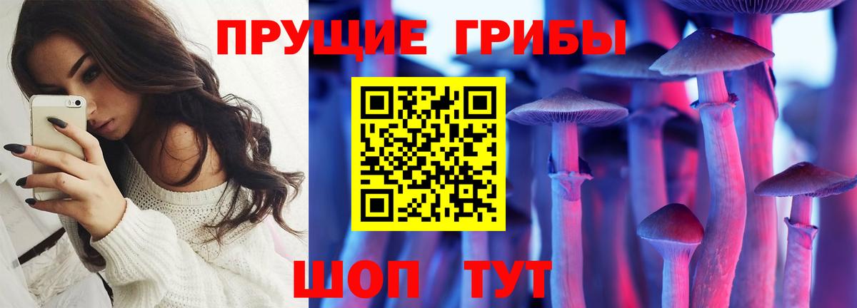 Псилоцибиновые грибы мухоморы Новоалтайск